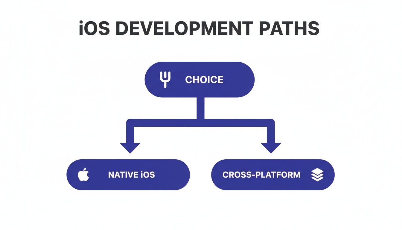 Flowchart showing iOS development paths: Native iOS or Cross-Platform app development choices.
